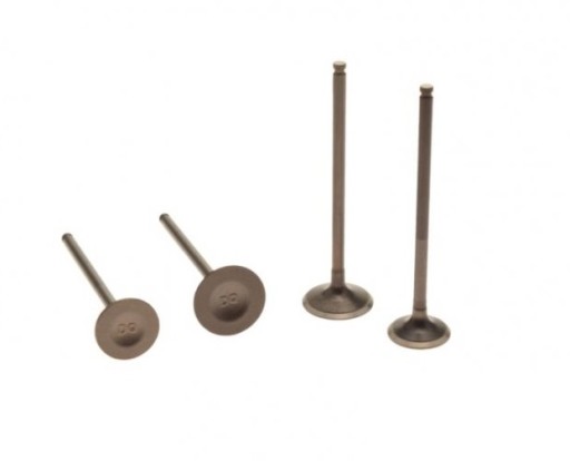 PTBD0042 - ВИХЛОПНІ КЛАПАНИ CROSS ZONGSHEN DT190