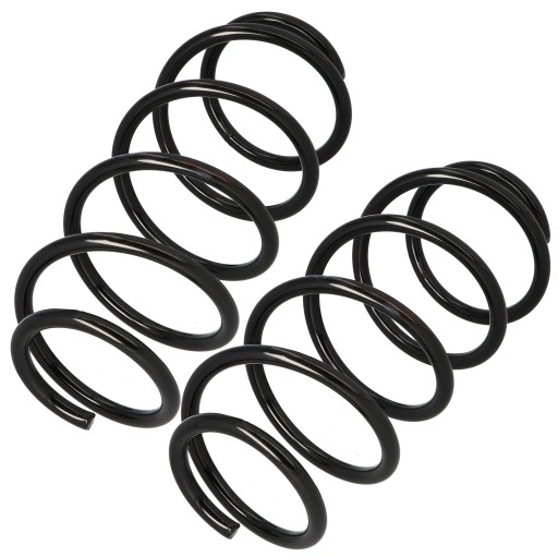 GT31003x2 - Підвіска пружини х2 ford fusion 2002 - перед