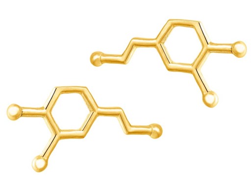 Złote Kolczyki Dopamina Neuroprzekaźnik Srebro 925