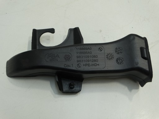 canale Dell’aria sinistra CITROEN C4 III 2020R. 9831091080 118869A0