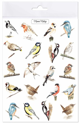 Tetovanie umývateľné Vtáky, realistické maľované ilustrácie