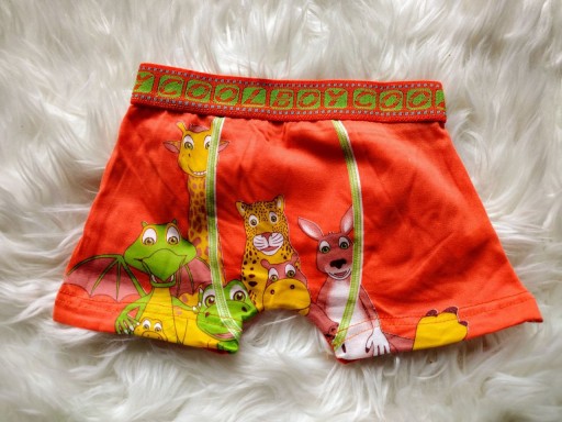 Труси боксери VANETTI 122