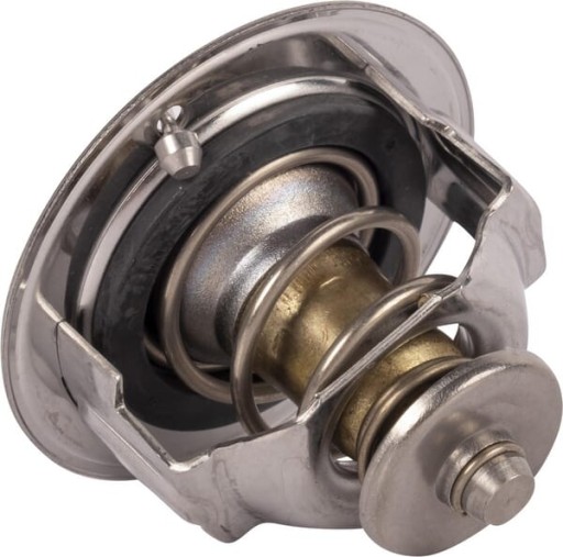 Термостат 1C01173013