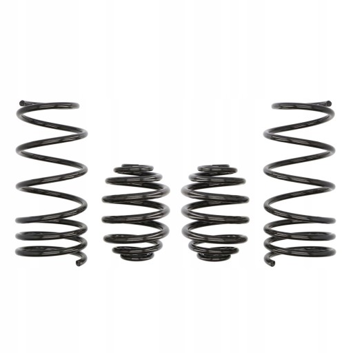ICNT/E10-75-001-02-22/ZAPS - ПРУЖИНЫ EIBACH PRO KIT RENAULT CLIO B
