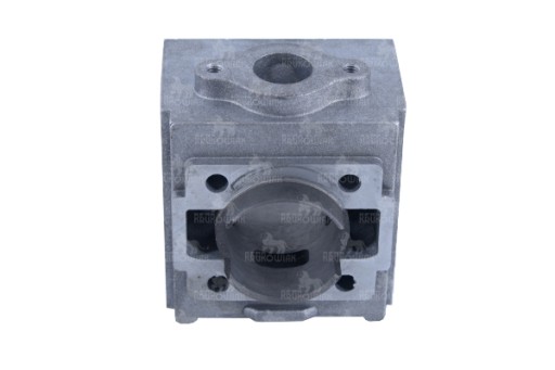 C2162100FDO - Циліндр, головка для насоса COMET