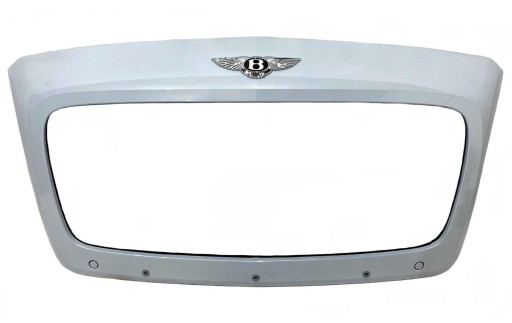 BENTLEY CONTINENTAL GT GTC cover grila grill grille 3W3853653F 3W3853651F