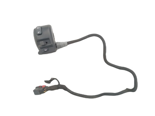 4200 - Лівий перемикач CAN Am Ryker 600 900