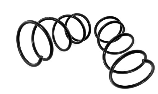 55204503 - комплект передней пружины TOYOTA RAV-4 и SXA 94-00