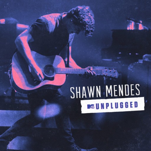 SHAWN MENDES - MTV UNPLUGGED