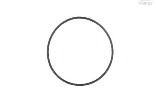 УПЛОТНЕНИЕ ФИЛЬТРА DPF DAF, SCANIA DINEX DIN6LL012