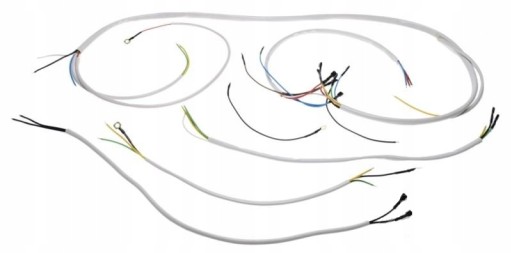 IS13M25756 - Электропроводка для Оса М52 белая