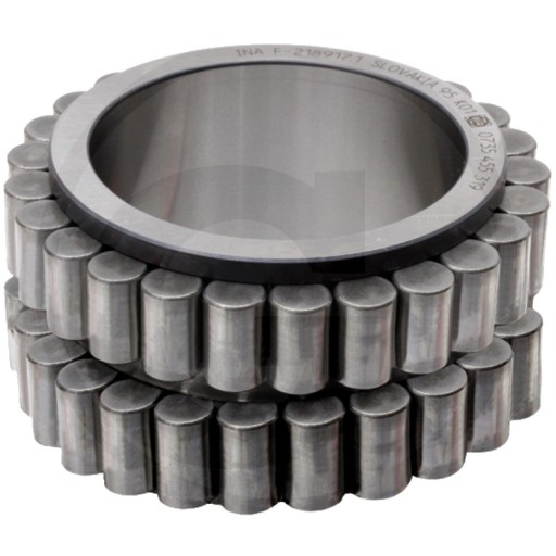 5450735455319 - Циліндричний роликовий підшипник ZF для планетарного приводу