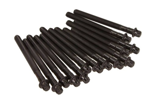 14-32101-01 - Болти головки для BMW m52b20 - 28 / M5