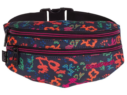 Набедренна рюкзак CoolPack Madison різнокольоровий
