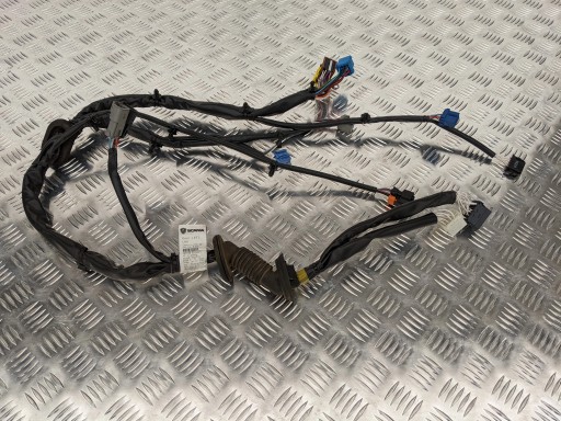 2495436 - ДЖГУТ ПРОВОДІВ ДВЕРІ SCANIA R S ЛІВА СТОРОНА