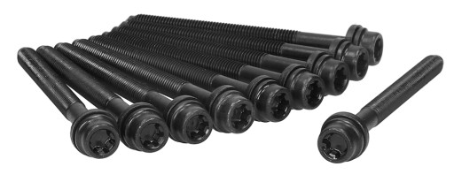 81019300 - Болты головки для VW Jetta IV 10-