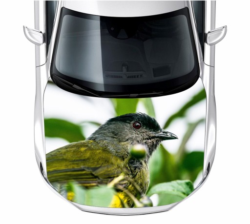 Наклейка на маску птица 150X115 см пленка 3М