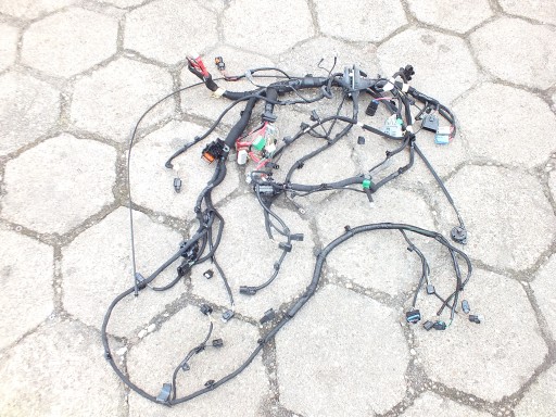 403889859R - RENAULT TALISMAN 1.6 DCI УСТАНОВКА ЖГУТ ПРОВОДОВ КАМЕРЫ