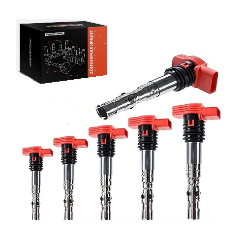 FBIC000013 - Катушки зажигания frankberg ic48300-6-fc 6 шт. audi a4 a6 cabrio avant