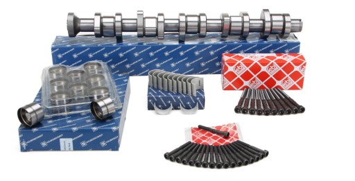 428011110-SET - Распределительный вал VW T5 2.5 TDI TOUAREG 070109101P KPL