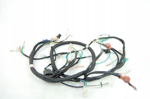 IS10M12998 - ЭЛЕКТРОПРОВОДКА 2T CPI GTX50