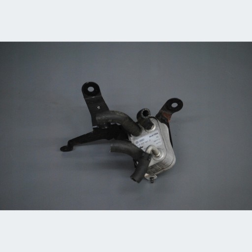 Kühler des Kraftstoffsbehälters AUDI Q7 4L BUG 7L6203491D