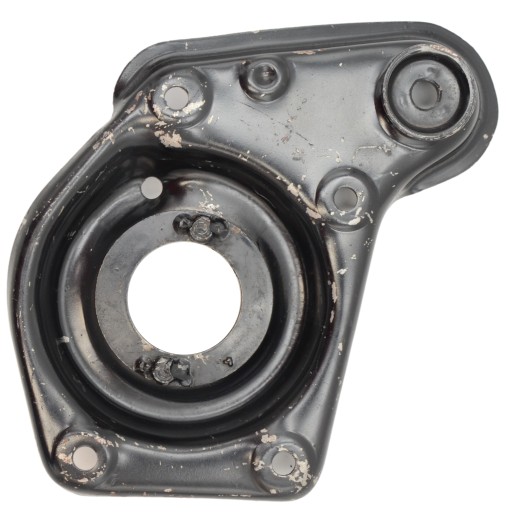 702-2902734 - Чаша родниковое гнездо жук ныса тарпан варшава