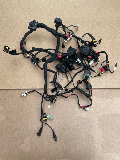 ЭЛЕКТРОПРОВОДКА DUCATI SUPERSPORT 950 2021