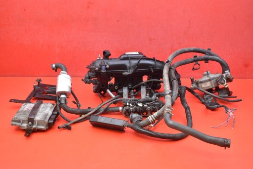 komplett Kabelbaum GAZOWA LPG 25194624 LANDI RENZO