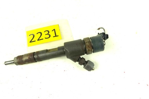 nozzle injector RENAULT MEGANE 3 SCENIC III 1.9 DCI 0445110328 H82778396