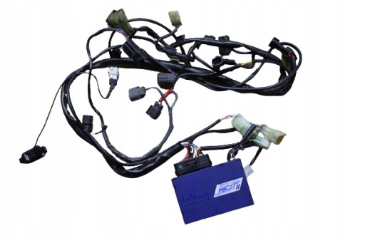 000EE8456 - ZX10R ZX 10 ZX-10 LEOVINCE FAST II POWER COMMANDER