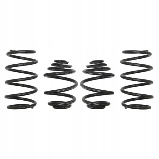 ICNT/E10-65-002-01-22/ZAPS - Пружины EIBACH Pro KIT Opel Corsa C