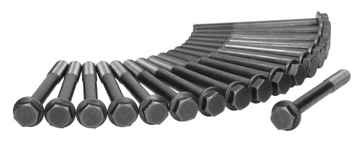 81014100 - Болты головки для FORD MAVERICK 96-