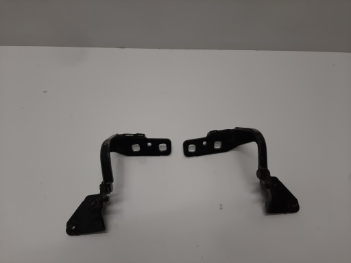 F-TYPE ПЕТЛЯ ЛЮКА КУПЕ EX53-42901-AB T2R23730