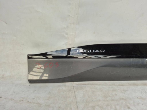 JAGUAR and-PACE 19- moulding door left front front J9D3-21065-A