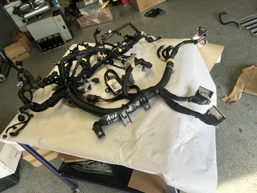RENAULT AUSTRAL 1,2 E-TECH Motorkabelbaum