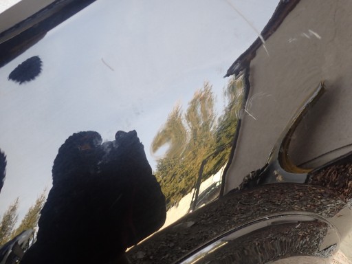 fender left front front MERCEDES GLE 167 2019- A1678802300