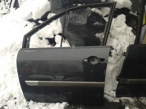 ДВЕРЬ ПЕРЕДНЯЯ ЛЕВАЯ RENAULT SCENIC 2 TEB66