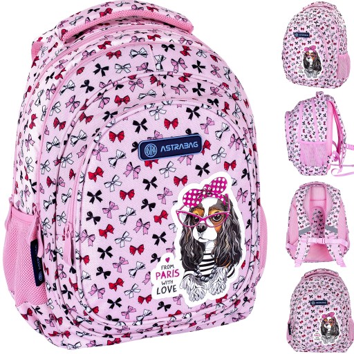 Рюкзак шкільний багатокамерний Astra Відтінки фіолетового, Відтінки рожевого, Відтінки сірого та сріблястий, Різнокольоровий 20 л