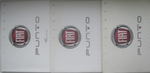 FIAT Punto Evo 2009-руководство пользователя + радио RU