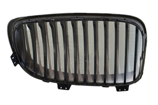 grille grid of a bumper left BMW 1 7179655