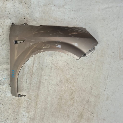RENAULT SCENIC II 2 03-09 fender front front right