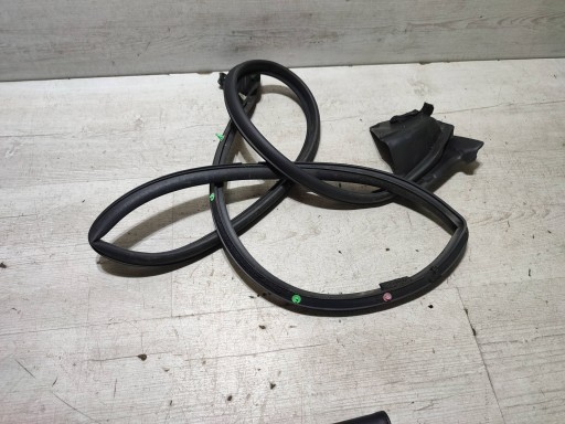 Lexus RC 2019 front side right rubber gasket door