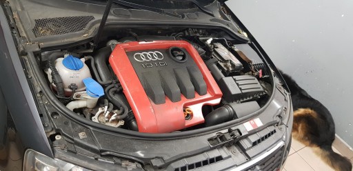 Прокладка капота прокладка моторного отсека AUDI A3 8P