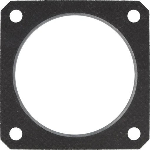 04222064 - Тюлень