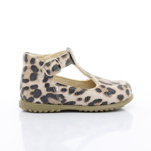 Емель Роцкі 2409-4 21