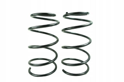 RA3326 - Ресори передньої підвіски hyundai i20 546301j000