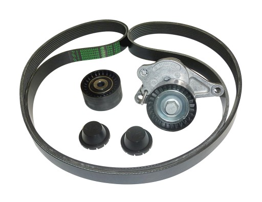 11720-00Q0C 7701476645 - НАБОР РЕМНЕЙ MASTER MOVANO 2.3 10-