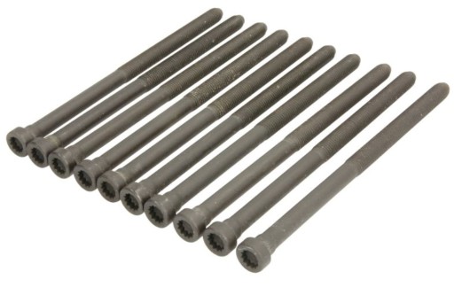 WHT007433S - 10x болт головки OE VW Crafter T6 Passat B8 Caddy