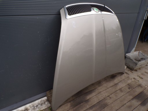 bonnet SKODA OCTAVIA 2 II colour 9202 (1)